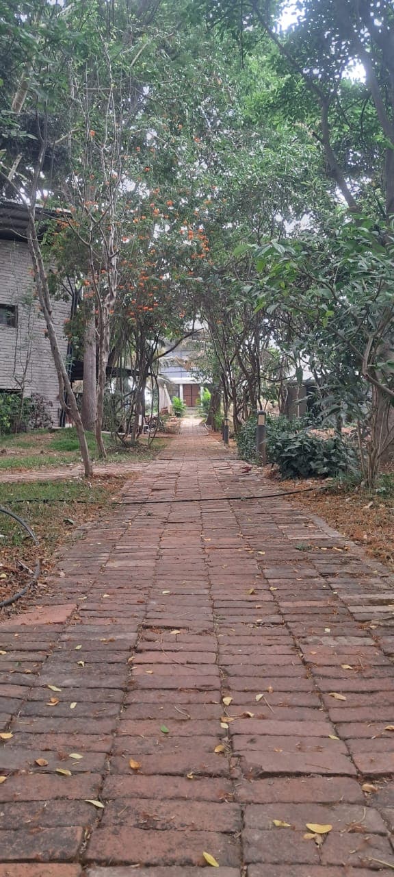 Pathway through the Sri Ramana Maharshi Brahmavidyashrama grounds